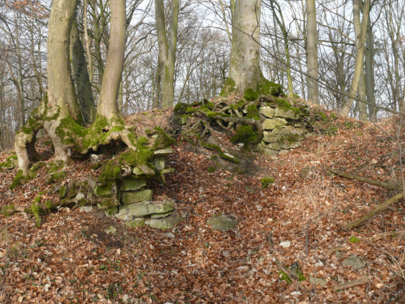 Schlossruine Bielriet, Wolpertshausen, Germany, Germany